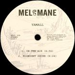 Artwork für "In The Air"