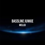 Artwork for "Bassline Junkie"