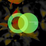 Artwork for "Prisma"