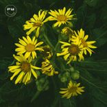 Artwork für "Distant Dreams"