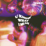 Artwork voor "U Know What I Mean"