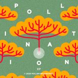 Artwork for "Pollination EP"