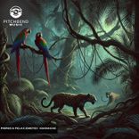 Artwork for "Manacae"