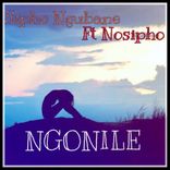 Portada para "Ngonile"