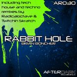 Artwork for "Rabbit Hole"
