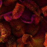 Artwork voor "Locked Down"