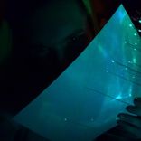 Portada para "Dark Trap"