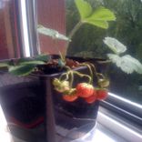 Artwork für "Feel Okay"