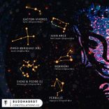 Portada para "Constellations 02"