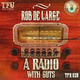Artwork for "A Radio With Guts"
