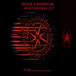 Don't Loose Your Dark Cat