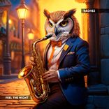 Artwork for "Feel the Night"