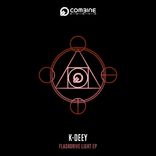 Portada para "Flashdrive Light"