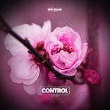 Artwork voor "Control"
