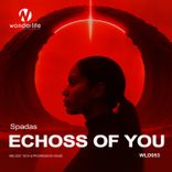 Echoss of You