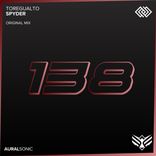 Artwork for "Spyder"