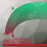 Artwork für "Flight Tunes Vol.4"