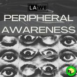 Portada para "Peripheral Awareness"