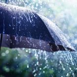 Artwork for "Rain on a Tent (Loopable)"