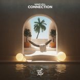 Artwork for "connection"