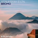 Artwork for "Bromo"