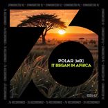 Artwork for "It Began In Africa"