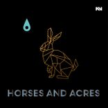 Artwork for "Horses and Acres"