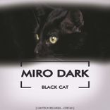 Portada para "Black Cat"