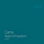 Artwork for "Night of Freedom"