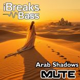 Artwork for "Arab Shadows"
