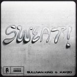 Portada para "SWEAT!"