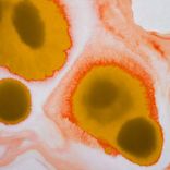 Artwork voor "We Are Whenever"