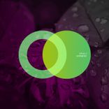 Artwork for "Hypnotic"