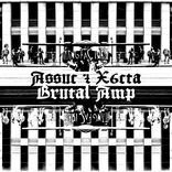 Artwork for "Brutal Amp"