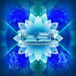 Artwork voor "Om Namah Shivaya"