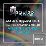 Artwork for "After The Storm (Remixes)"