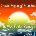 Artwork for "The Woo Factor Remixes"