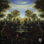 Artwork for "Confusions"