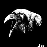 Artwork for "The Flying Finn"