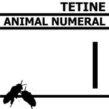 Portada para "Animal Numeral"