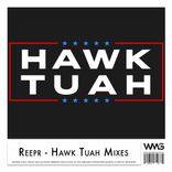 Artwork for "Hawk Tuah"