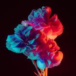 Artwork for "E SO CATUCADAO"