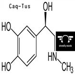 Artwork for "Adrenaline"