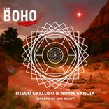 Portada para "Dreams of One Night"