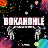 Artwork for "Bokahohle"