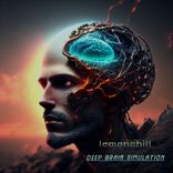 Brain Simulation