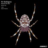 Artwork for "Beyond the Skin"