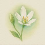 Artwork for "Immersed"