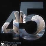 Artwork for "Swan Lake (Asi Me Gusta Mix)"