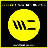 Artwork for "Turn Up The Bass"